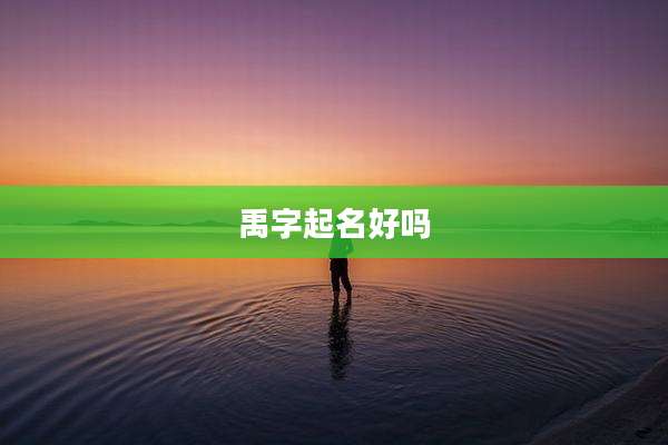 禹字起名好吗