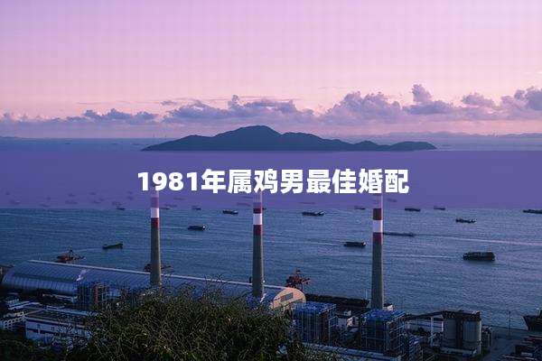 1981年属鸡男最佳婚配