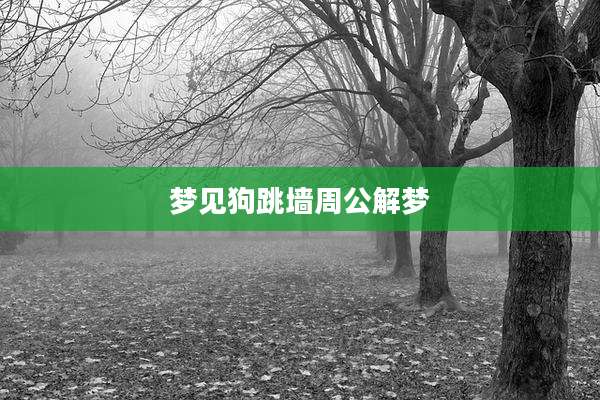 梦见狗跳墙周公解梦