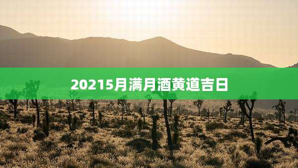 20215月满月酒黄道吉日