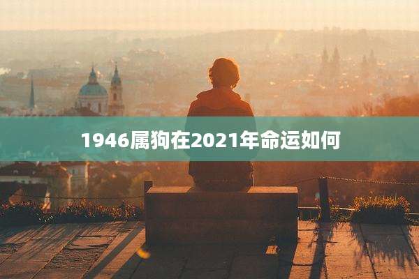 1946属狗在2021年命运如何