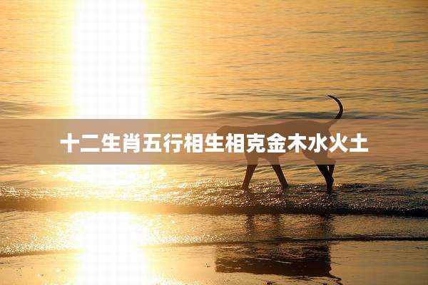十二生肖五行相生相克金木水火土