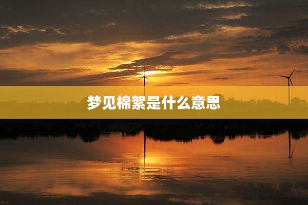 梦见棉絮是什么意思