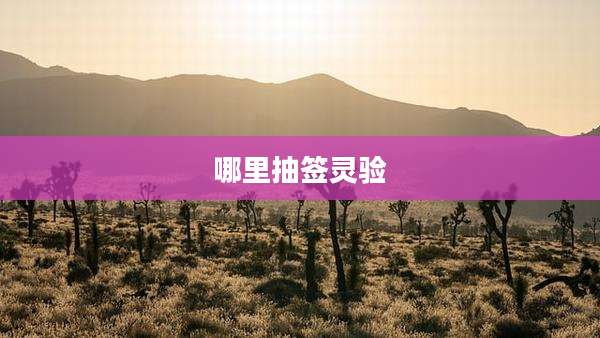 哪里抽签灵验
