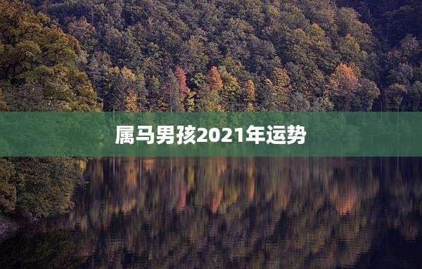 属马男孩2021年运势