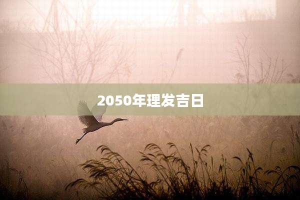 2050年理发吉日