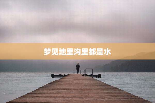 梦见地里沟里都是水