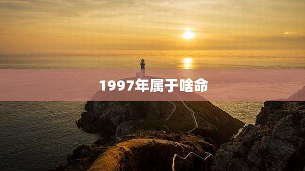 1997年属于啥命