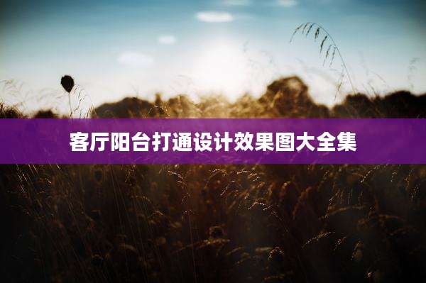 客厅阳台打通设计效果图大全集