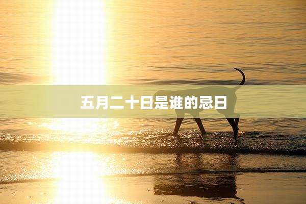 五月二十日是谁的忌日