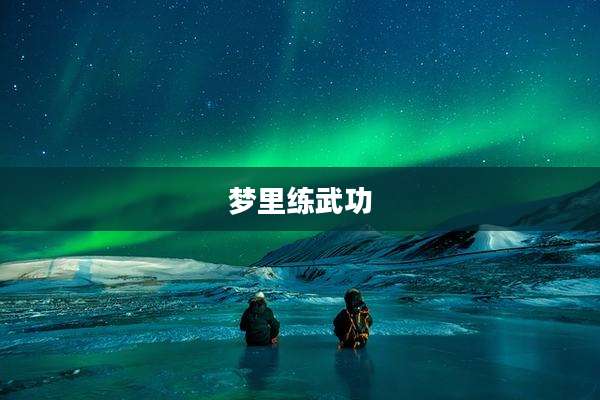 梦里练武功