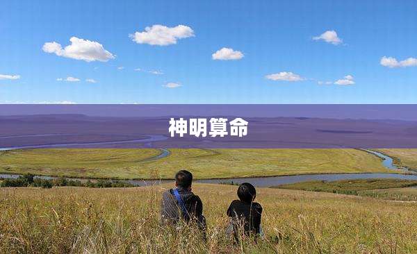 神明算命