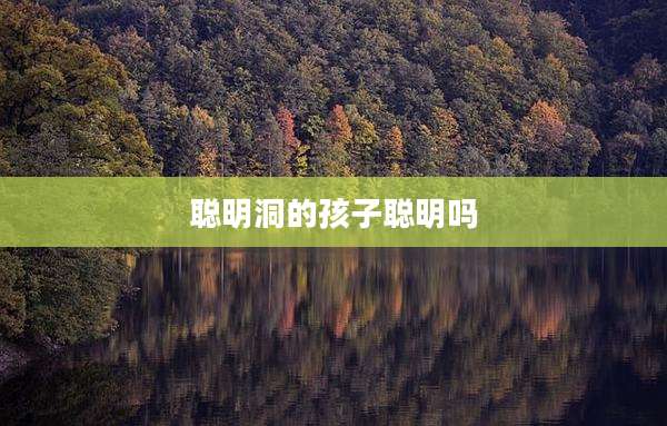 聪明洞的孩子聪明吗