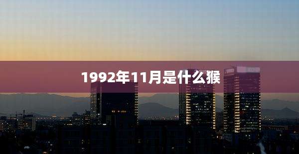 1992年11月是什么猴