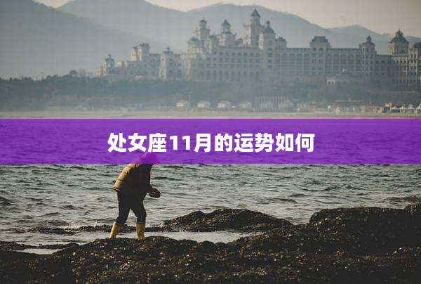 处女座11月的运势如何