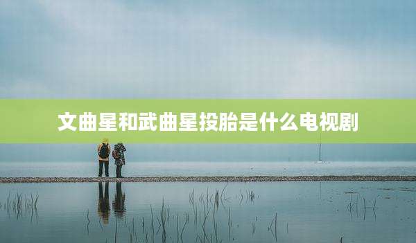 文曲星和武曲星投胎是什么电视剧
