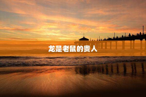 龙是老鼠的贵人