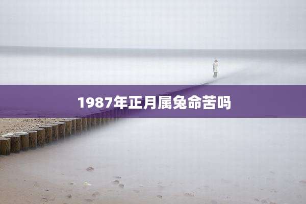1987年正月属兔命苦吗