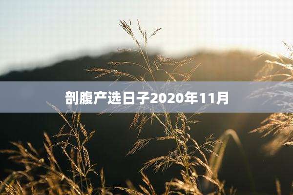 剖腹产选日子2020年11月