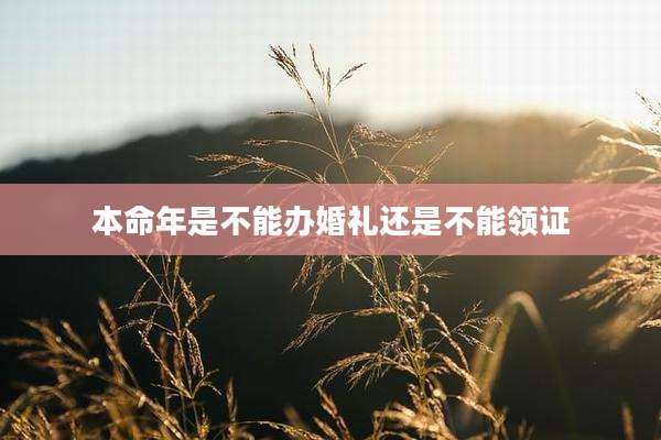 本命年是不能办婚礼还是不能领证