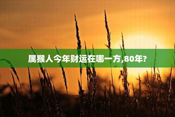 属猴人今年财运在哪一方,80年?
