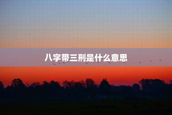 八字带三刑是什么意思