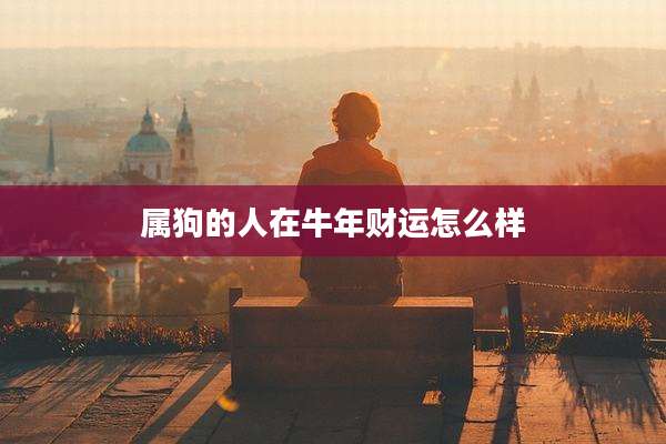 属狗的人在牛年财运怎么样