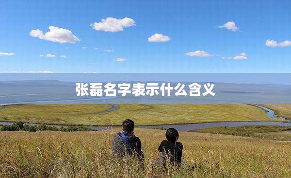 张磊名字表示什么含义