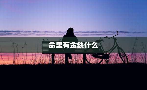 命里有金缺什么