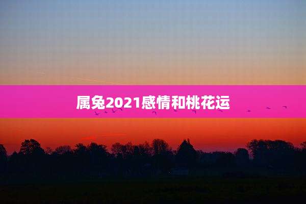 属兔2021感情和桃花运
