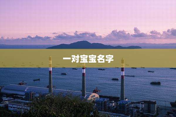 一对宝宝名字