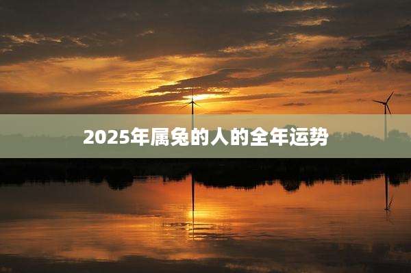 2025年属兔的人的全年运势