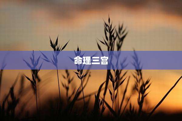 命理三宫