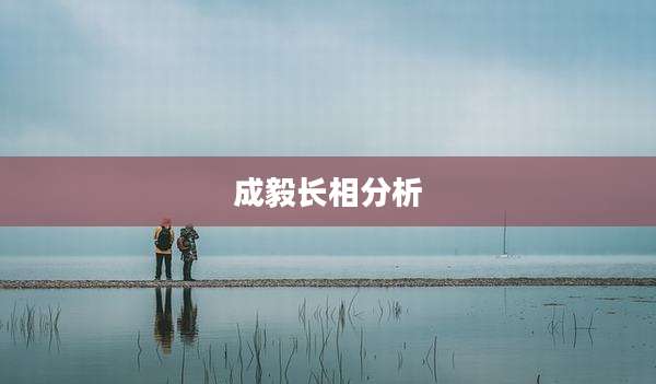 成毅长相分析
