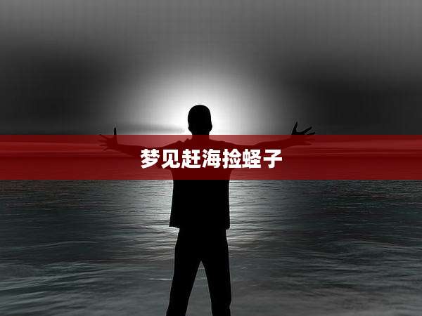 梦见赶海捡蛏子