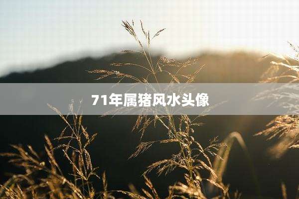 71年属猪风水头像