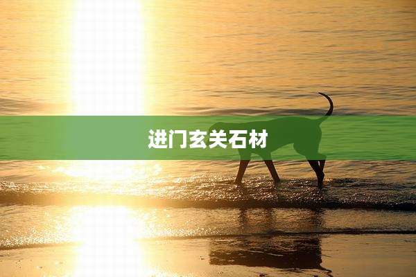 进门玄关石材