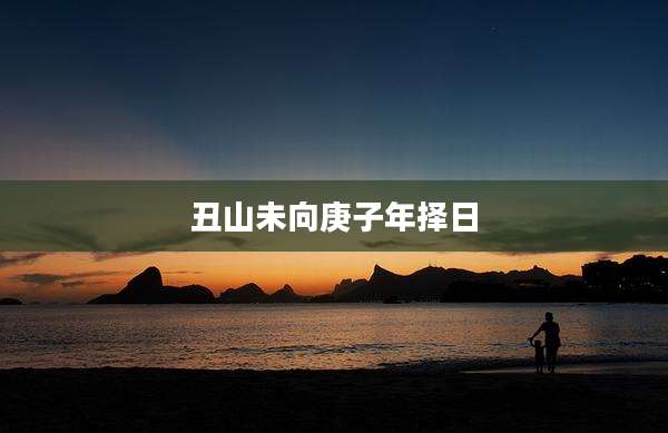 丑山未向庚子年择日