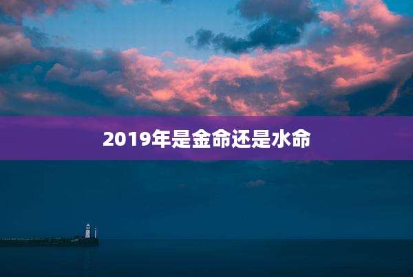 2019年是金命还是水命
