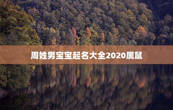 周姓男宝宝起名大全2020属鼠