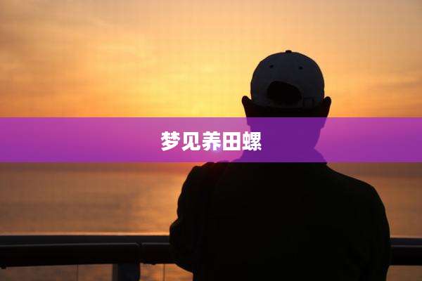 梦见养田螺