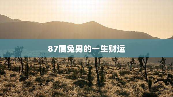 87属兔男的一生财运