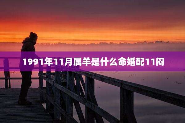 1991年11月属羊是什么命婚配11闷