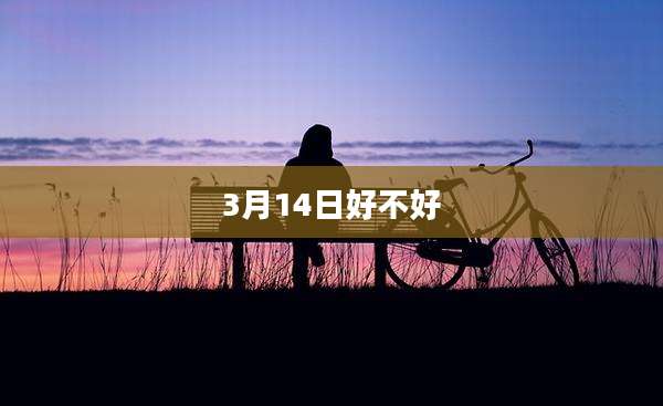 3月14日好不好