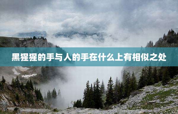 黑猩猩的手与人的手在什么上有相似之处