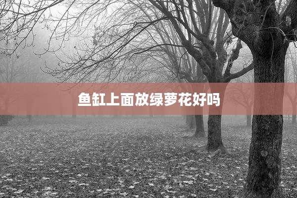 鱼缸上面放绿萝花好吗