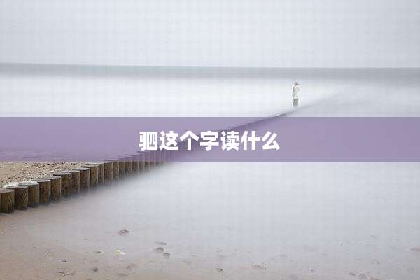 驷这个字读什么