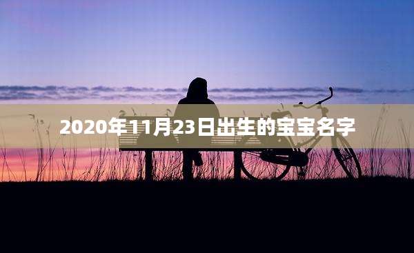 2020年11月23日出生的宝宝名字