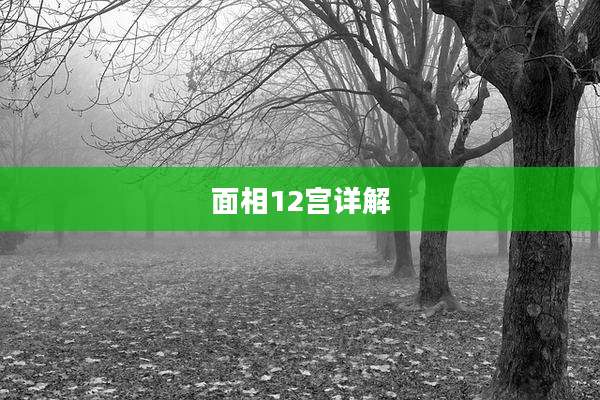 面相12宫详解