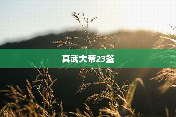真武大帝23签